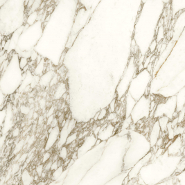 caesar_anima_ever_luxury_arabesque_1.jpg