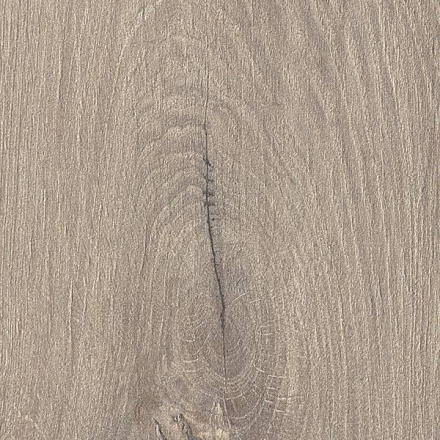 fap_roots_taupe_1.jpg