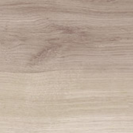 gardenia_orchidea_just_color_almond_1.jpg