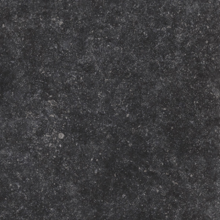 gardenia_orchidea_origini_age_stone_1.jpg