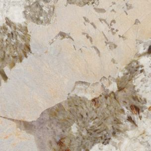 Patagonia marble-effect porcelain floor tile, matt, 60x120 cm - CS25059