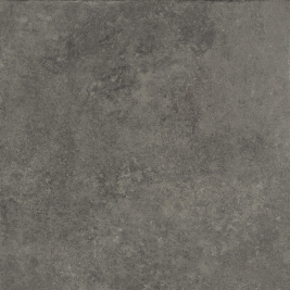 Caesar Step In Dark Matt 30X60 - AGW1