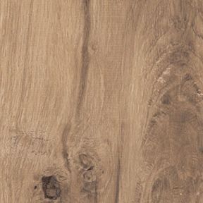 Brown Non-Slip Modern Wood Effect Porcelain Tiles 20X120 - EARE1369
