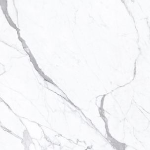 Matt White Statuary Marble Effect Porcelain Tile 60X120 - ESSU180