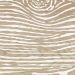 Abk Poetry Wood Paint Nat 20X120 - PF60010066