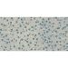 Bardelli Colorama Decor Flowers 4A 60x120 - DE4A620