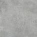 Modern Dark Gray Concrete Effect Porcelain Tile 60X120 - ECSM397