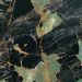 Black/Glossy Green Marble Effect Porcelain Tile 60x120 - EEPS1552