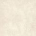 Natural Ivory Resin Effect Porcelain Tile 30.8X61.5 - ELCM474