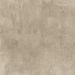 Natural Beige Resin Effect Porcelain Tile 30.8X61.5 - ELTE475