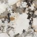Polished Patagonia Marble Effect Porcelain Tile 60X120 - EPAA158