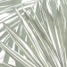 Fap Color Mood Tropical Matt Rt 80x160 - fRRD