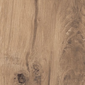 Brown Non-Slip Modern Wood Effect Porcelain Tiles 20X120 - EARE1369