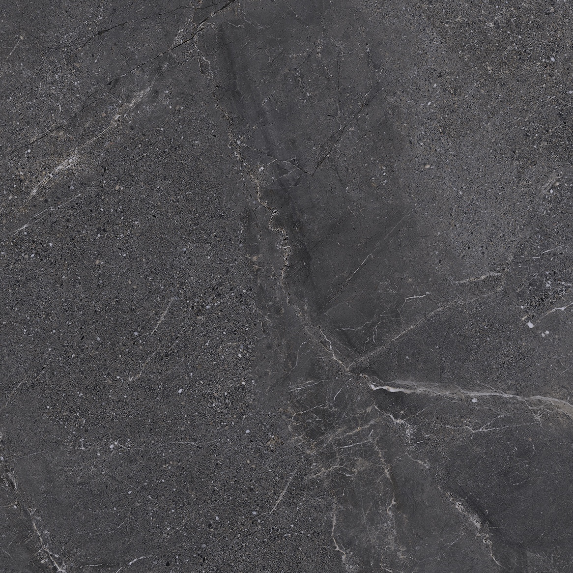 Black Veined Stone Effect Porcelain Tiles 20mm R11 60X120 - EWBE1349