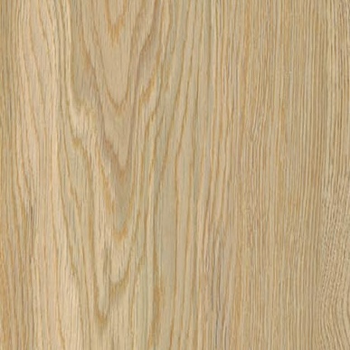 Modern Elegant Light Brown Non-Slip Wood Effect Porcelain Tile 20x120 - EWCR1670